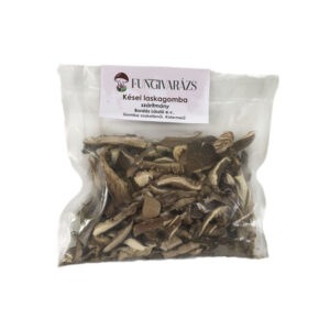 Szárított kései laskagomba 50g